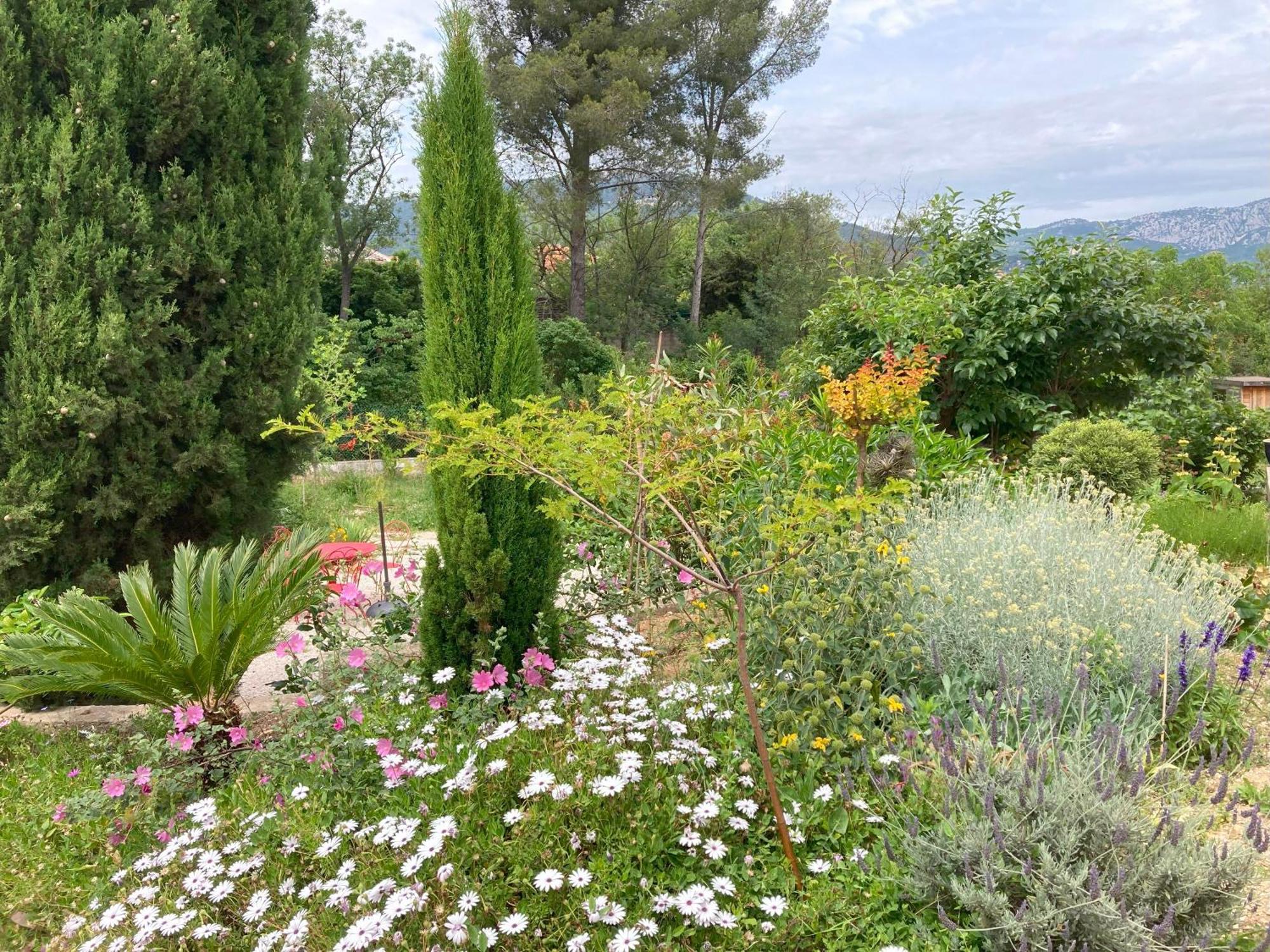 Haut De Villa Avec Terrasse Privative Jardin Et Parking Tout Pres Des Plages Тулон Екстер'єр фото